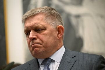 Фицо: НАТО на саммите в Анкаре не станет обязывать страны финансово помогать Украине