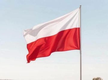В Польше заявили о возможных тайных поставках ракет Patriot Украине