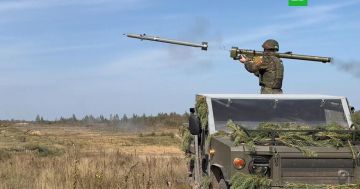 Сорвана спланированная Киевом под саммит НАТО массированная атака БПЛА по РФ