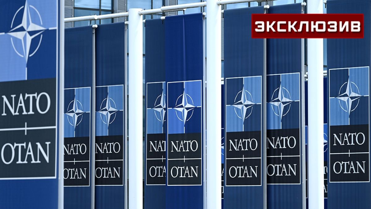 Политолог: Зеленский может устроить провокацию в ходе саммита НАТО