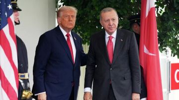 Эрдоган и Трамп обсудят инициативы Турции по Украине