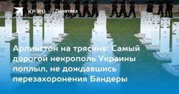 Дмитрий Стешин: Строили "украинский Арлингтон", а получилась "смертная яма"
