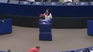 Депутат Европарламента от Польши Ева Зайончковская-Герник сегодня на трибуне разорвала бандеровский флаг