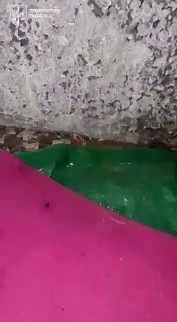 � ������ �� ����� ����������� ���� ������ ������� �����