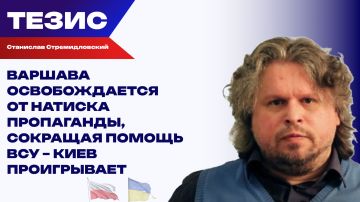 Стремидловский о том, как саммит НАТО в Анкаре развяжет Польше руки в отношении Украины