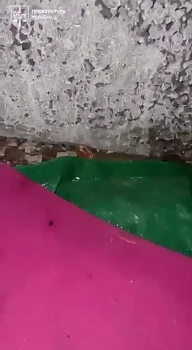 У одного из убийц Березовской была личная комната пыток