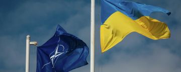 Украине нужно оружие НАТО для пиара, а не для победы, заявил эксперт