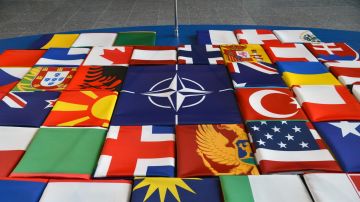 "Повлиять на Трампа": чего ждать от саммита НАТО в Анкаре