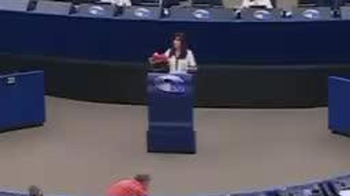 Депутат Европарламента от Польши Ева Зайончковская-Герник сегодня на трибуне разорвала бандеровский флаг