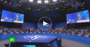 Анкаре стартует двухдневный саммит НАТО