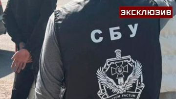 Царев: СБУ представит дело Березовской «эксцессом рядовых сотрудников»