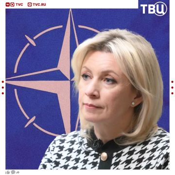 Трещины в НАТО никуда не делись, заявила Мария Захарова
