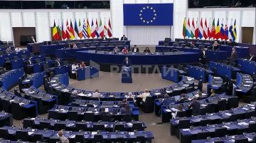Украина и Зеленский ведут себя как фашистское государство, констатировал евродепутат от Словакии