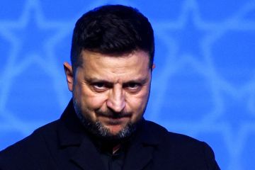 Politico: Польские депутаты в Европарламенте призвали осудить Зеленского