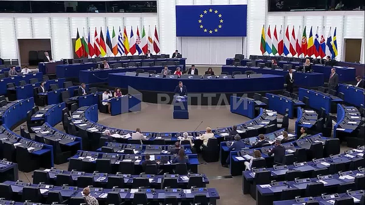 Украина и Зеленский ведут себя как фашистское государство, констатировал евродепутат от Словакии