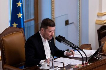 Лидер SPD Окамура: Чехия не согласна с участием в закупке оружия для Украины