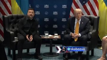 Трамп предлагает Зеленскому переговоры с Путиным, но в ответ получает дурацкую шутку