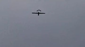 ������� ��������: ���������� ��������� � ����������� � ����������: