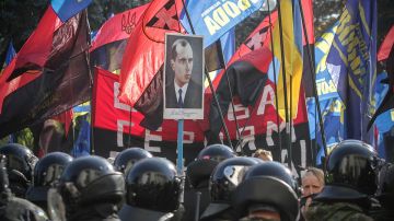 В Европарламенте назвали позором путь Украины в ЕС: флаг нацистов разорвали на части прямо в ЕП