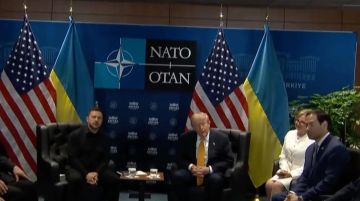 Сообщается о начале встречи Зеленского и Трампа на саммите НАТО