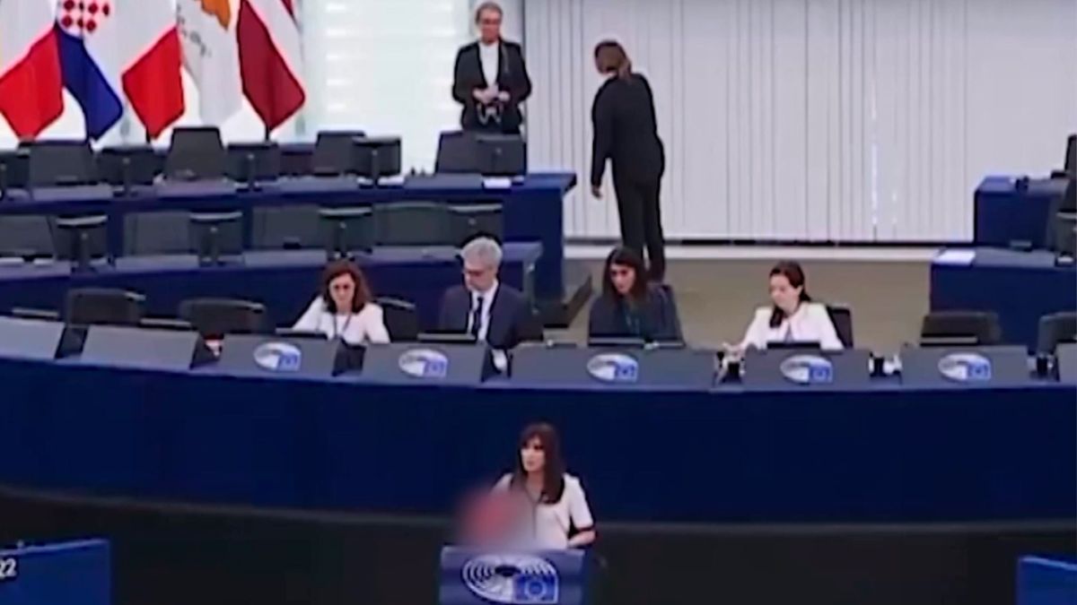 Евродепутат от Польши разорвала флаг УПА* в ходе дебатов по Украине