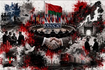 Минск: «Необходимо начать использовать ОБСЕ в соответствии с теми задачами, для которых она и создавалась»