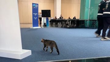 «Усатого агента Кремля» заметили на саммите НАТО в Анкаре