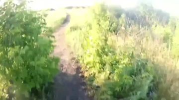 ������ ��������: ��� ����� ���������� ������ - ��� ���� ���������� �� �������� ��������� ����� �� �����������
