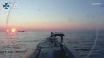����� ����� ����������� ��� Sea Baby �� ������� BLUE ��� ������ �������� ����� �����
