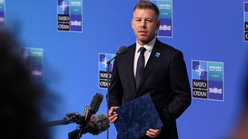Мадьяр заявил об отказе поставлять оружие на Украину