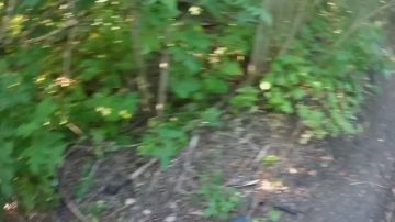 ������ ��������: ��� ����� ���������� ������ - ��� ���� ���������� ����� �� �����������