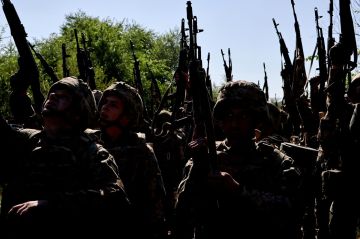 Запад превратил Украину в плацдарм для войны с Россией, заявила Евстигнеева