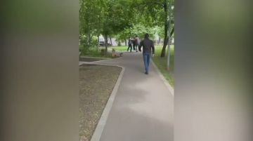 ФСБ: Пособницу теракта завербовали обещанием продолжения романа с куратором на Украине