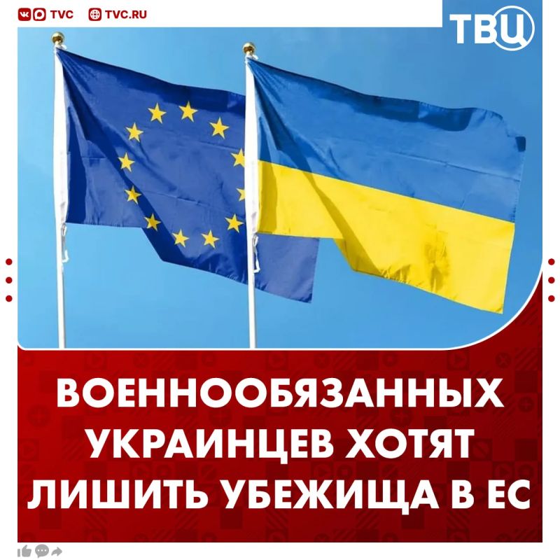 Ещё в одной стране одобрили выдворение военнообязанных украинцев из ЕС