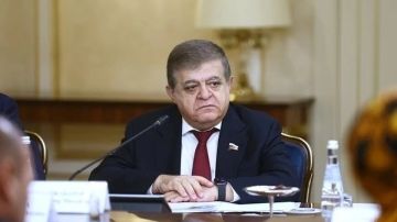 В Совфеде предупредили о последствиях возможного "закрытия неба" над Украиной