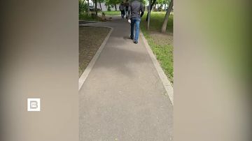 ���� �������: ��� �������� � �������������� ������� ������ ������������������� ����������� ���������������