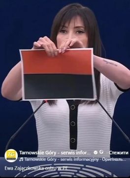 "Я не позволю себя запугать": приостановить ускоренный процесс вступления Украины в ЕС призвала евродепутат от Польши Ева Зайончковская-Герник