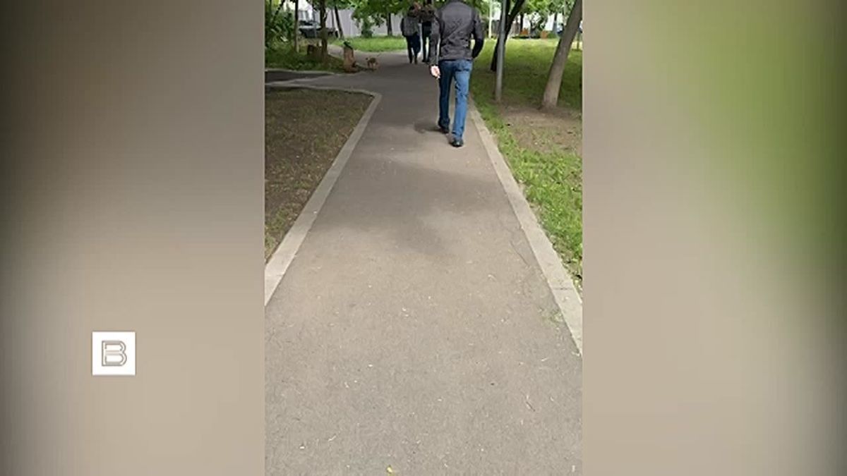 "На протяжении трех месяцев я осуществляла слежку