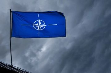 НАТО хочет отказаться от технологичного вооружения в пользу массового