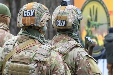 Прозоров: Профилактическая работа помогла предотвратить теракт в Ростове-на-Дону