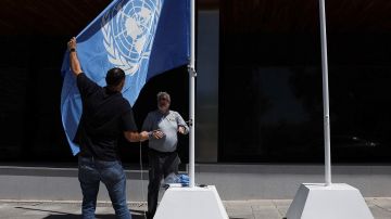 Киев в панике обратился к Совету ООН