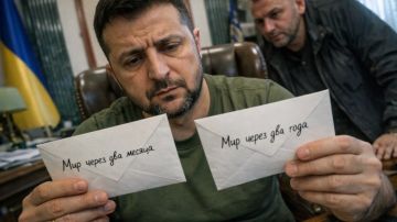 "Нужна не руина, а победа над Россией. Полноценная": На Украине расшифровали послание любимого инженера Зеленского о перемирии