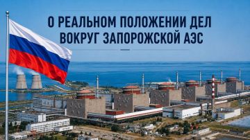 В рамках усилий по доведению до международного сообщества информации по поводу реального положения дел вокруг Запорожской АЭС и ее города-спутник Энергодар, а также непрекращающихся угроз безопасности со стороны Украины в...