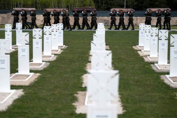 Украинский историк Гавришко: Зеленский превращает Украину в страну вдов и сирот