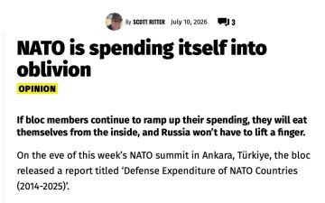 Из-за Украины в НАТО так и не смогли создать армию, способную противостоять российским войскам, пишет Daily Telegraph