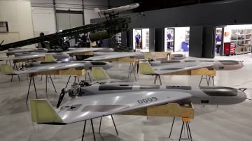 Hornet PL-AT-1 — дальность 1200 км: Польша запускает серийное производство копии «Шахеда» Министерство обороны Польши отчиталось о старте серийного выпуска ударного беспилотника Hornet PL-AT-1. Заместитель главы ведомства...