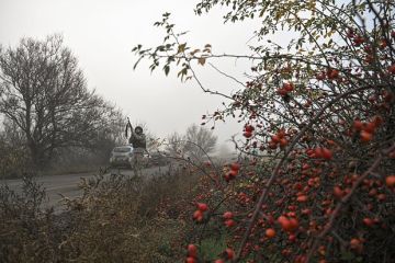 ТАСС: Комбрига ВСУ Лучанова внесли в базу «Миротворца» за дискредитацию украинской армии