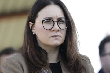 Депутат Рады Железняк: Премьер-министр Свириденко может стать послом Украины в США
