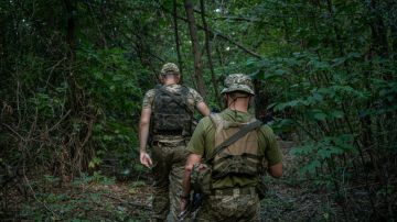 На Украине планируют продлить военное положение и мобилизацию до 31 октября