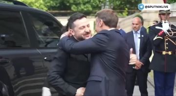 Зеленский чуть не поцеловал Макрона в губы во время встречи у Елисейского дворца